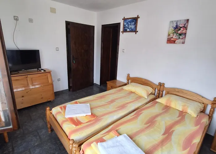 招待所 бащин дом