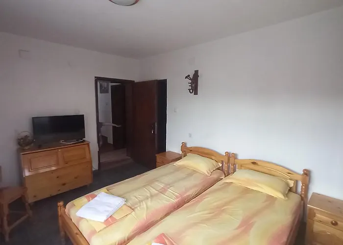 招待所 бащин дом