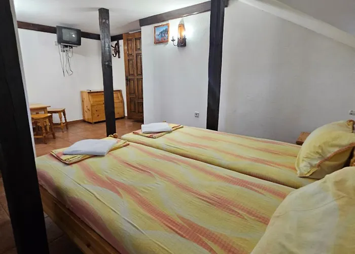 招待所 бащин дом